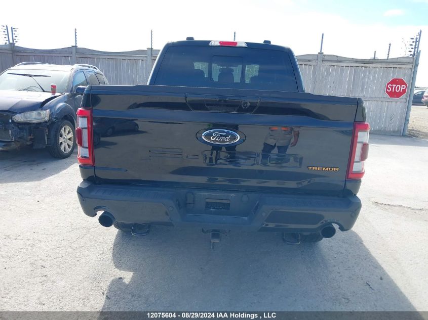 2023 Ford F-150 Tremor VIN: 1FTEW1E86PFC13485 Lot: 12075604