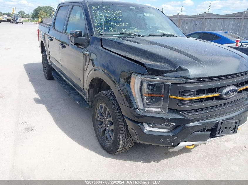 2023 Ford F-150 Tremor VIN: 1FTEW1E86PFC13485 Lot: 12075604