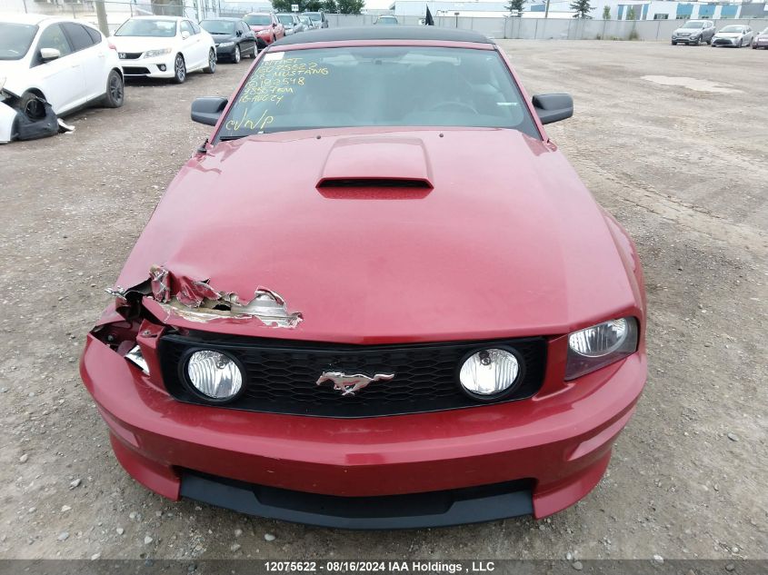 2008 Ford Mustang Gt VIN: 1ZVHT85H385192548 Lot: 12075622