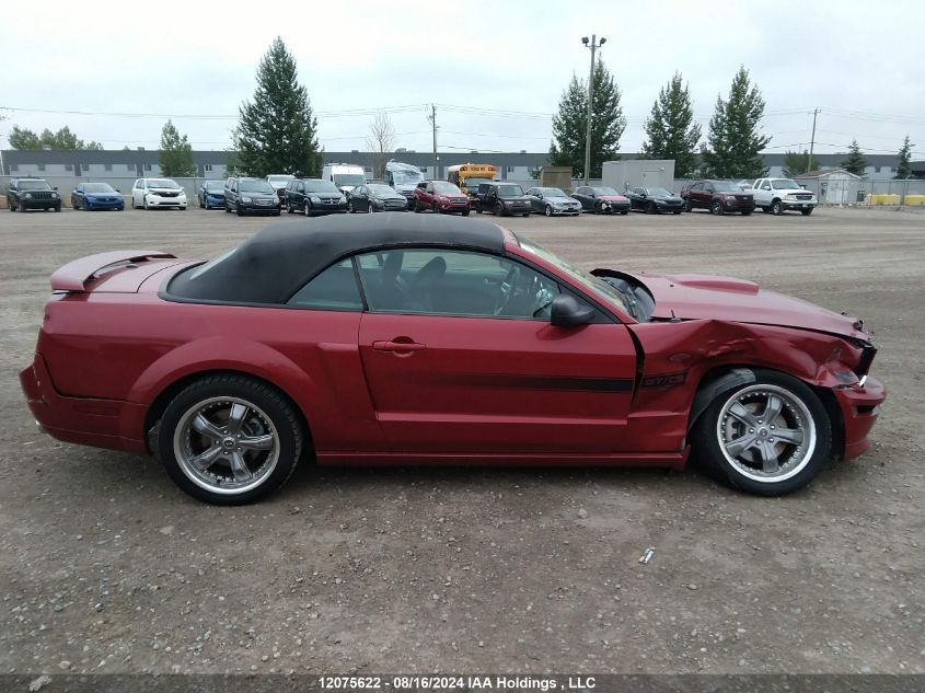 2008 Ford Mustang Gt VIN: 1ZVHT85H385192548 Lot: 12075622