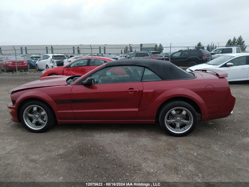 2008 Ford Mustang Gt VIN: 1ZVHT85H385192548 Lot: 12075622