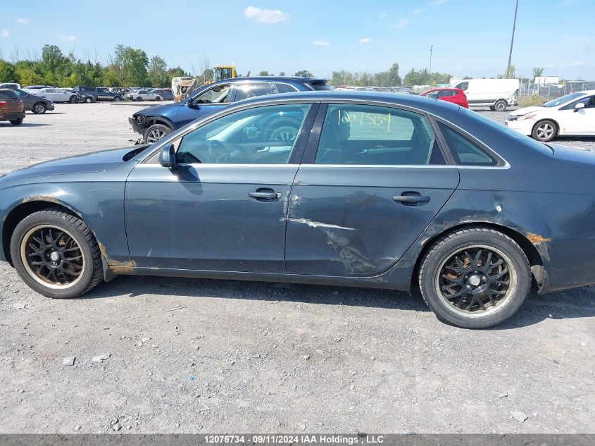 2010 Audi A4 Premium Plus VIN: WAUHFCFL4AN048056 Lot: 12075734