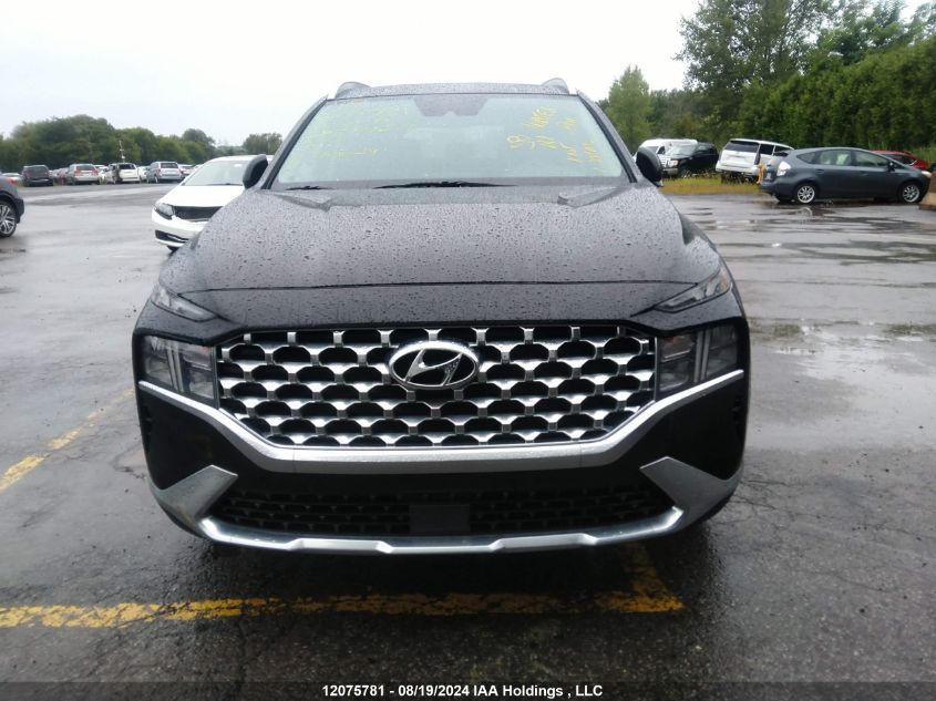 2023 Hyundai Santa Fe Sel Premium VIN: 5NMS3DAJXPH594279 Lot: 12075781