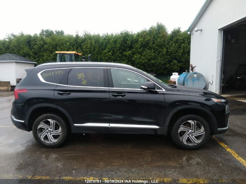 2023 Hyundai Santa Fe Sel Premium VIN: 5NMS3DAJXPH594279 Lot: 12075781