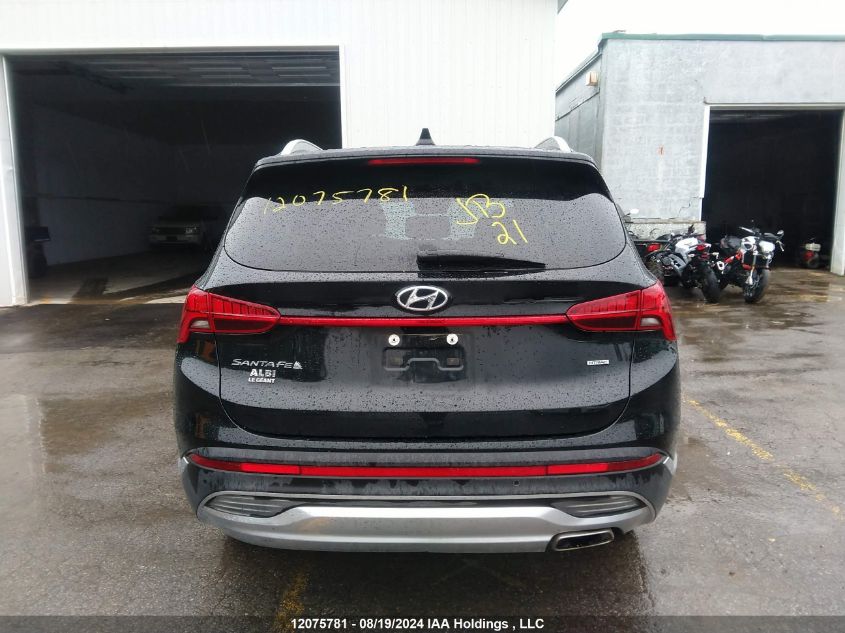 2023 Hyundai Santa Fe Sel Premium VIN: 5NMS3DAJXPH594279 Lot: 12075781