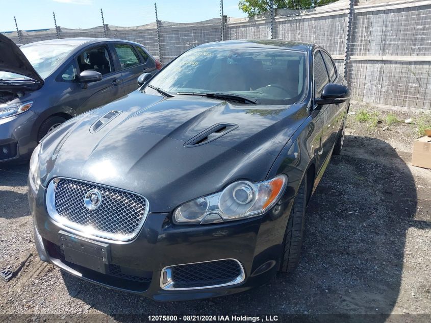 2010 Jaguar Xf VIN: SAJXA0JC7AMR51098 Lot: 12075800