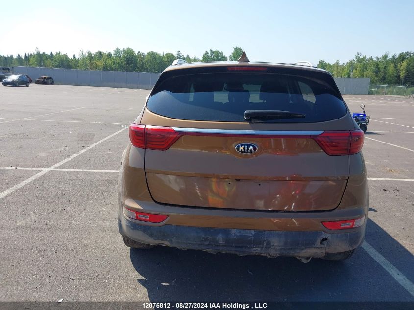 2019 Kia Sportage VIN: KNDPNCAC3K7570045 Lot: 12075812