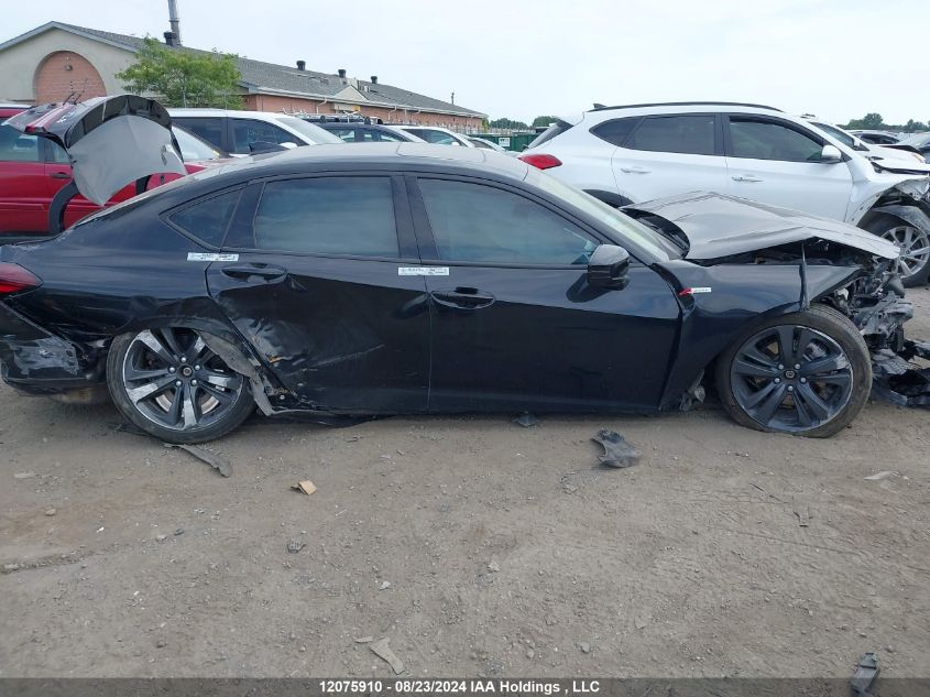 2021 Acura Tlx Tech A VIN: 19UUB6F59MA801352 Lot: 12075910