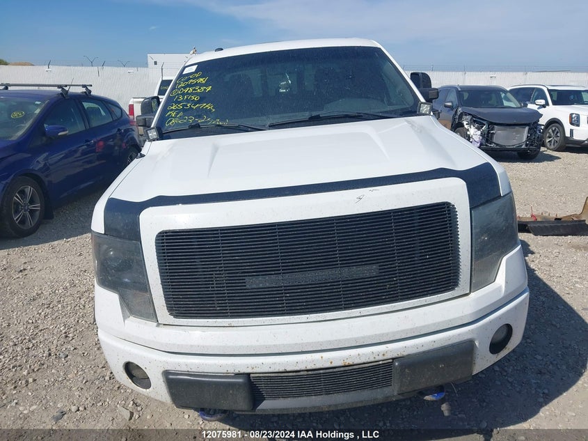 2013 Ford F-150 Fx4 VIN: 1FTFW1ET8DKD98389 Lot: 12075981