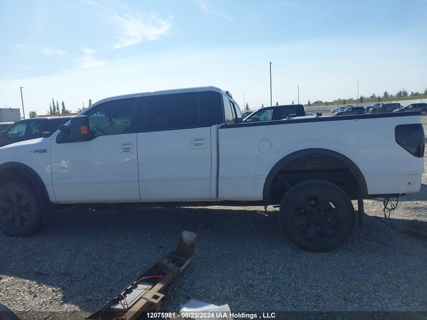 2013 Ford F-150 Fx4 VIN: 1FTFW1ET8DKD98389 Lot: 12075981