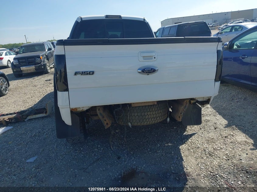 2013 Ford F-150 Fx4 VIN: 1FTFW1ET8DKD98389 Lot: 12075981