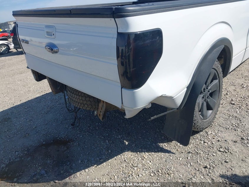 2013 Ford F-150 Fx4 VIN: 1FTFW1ET8DKD98389 Lot: 12075981