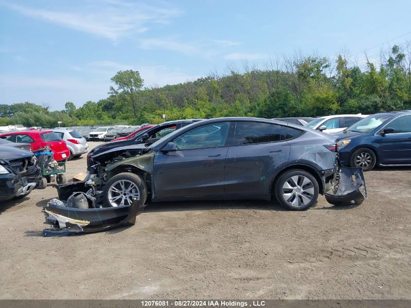 2023 Tesla Model Y VIN: LRWYGDFD4PC057906 Lot: 12076081