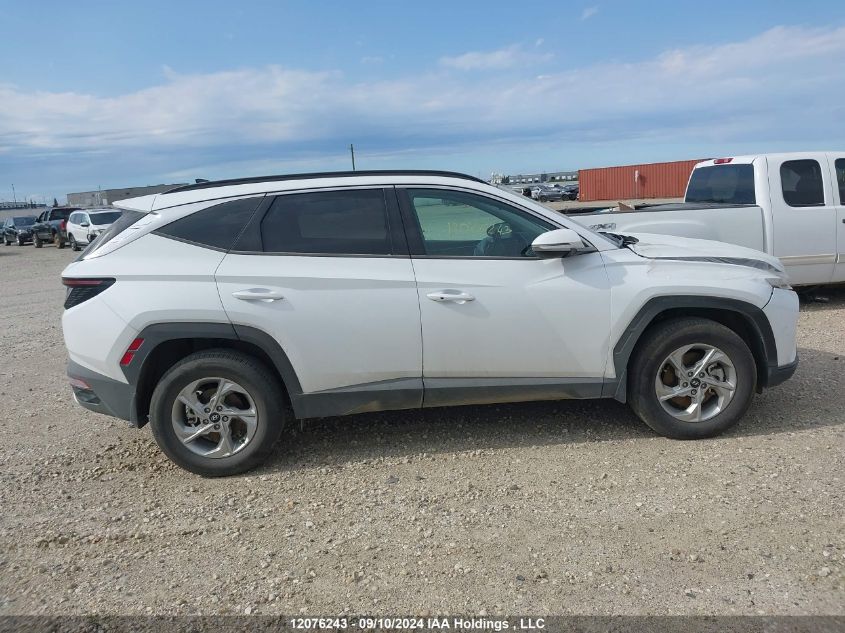 2023 Hyundai Tucson Sel VIN: KM8JCCAE6PU253104 Lot: 12076243