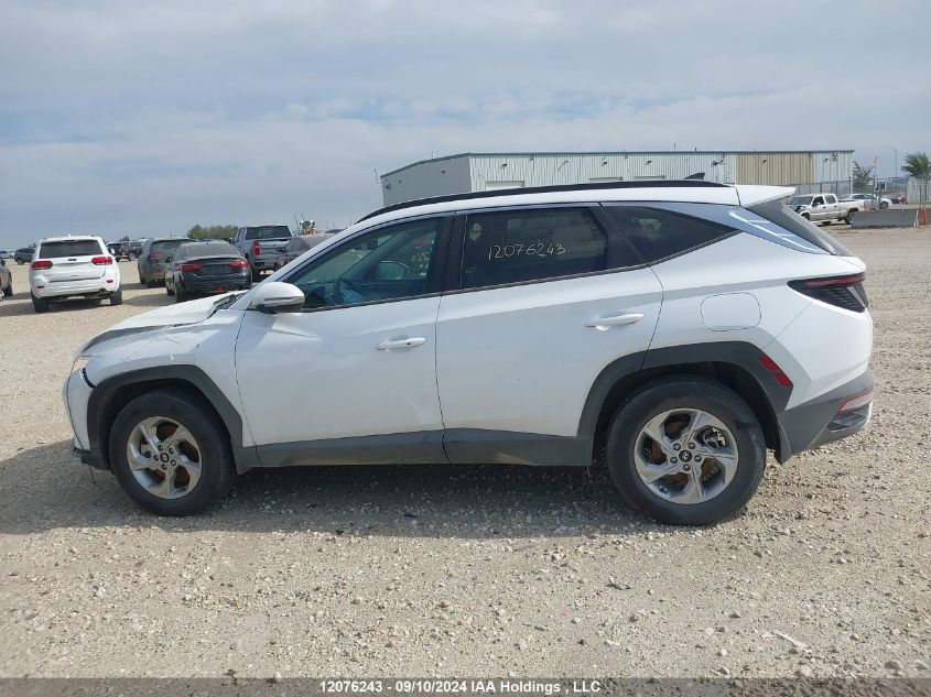 2023 Hyundai Tucson Sel VIN: KM8JCCAE6PU253104 Lot: 12076243