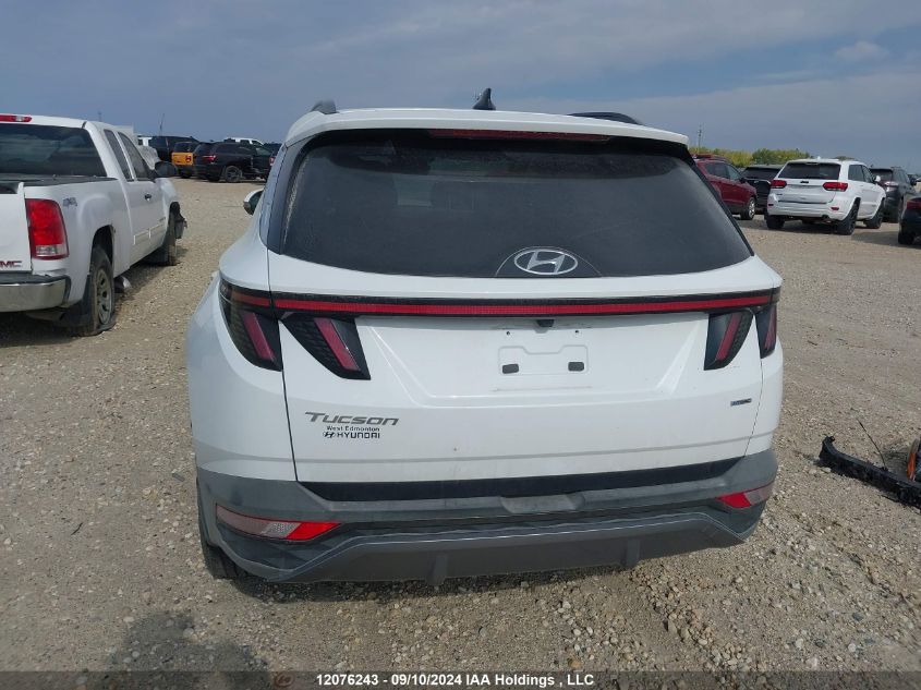 2023 Hyundai Tucson Sel VIN: KM8JCCAE6PU253104 Lot: 12076243