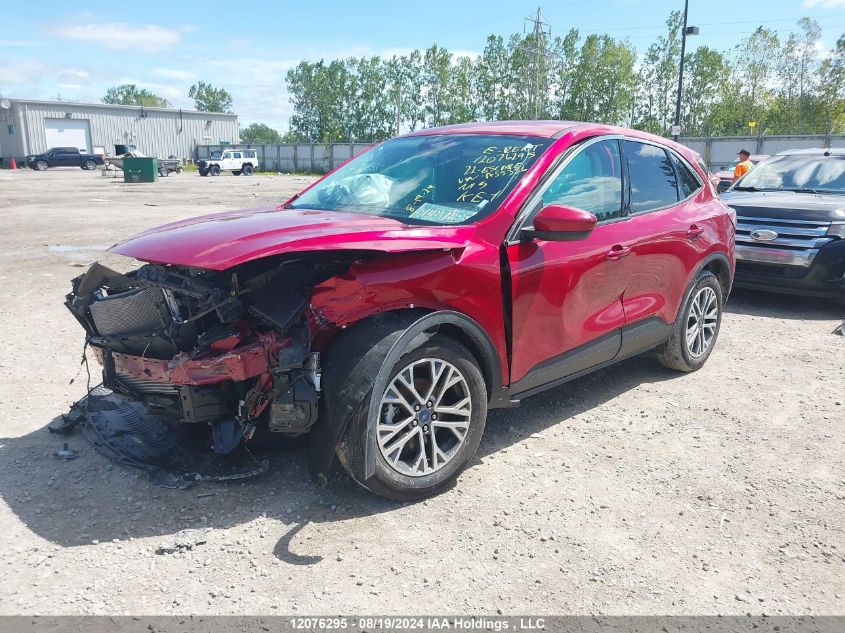 2022 Ford Escape Sel VIN: 1FMCU9H61NUA55356 Lot: 12076295