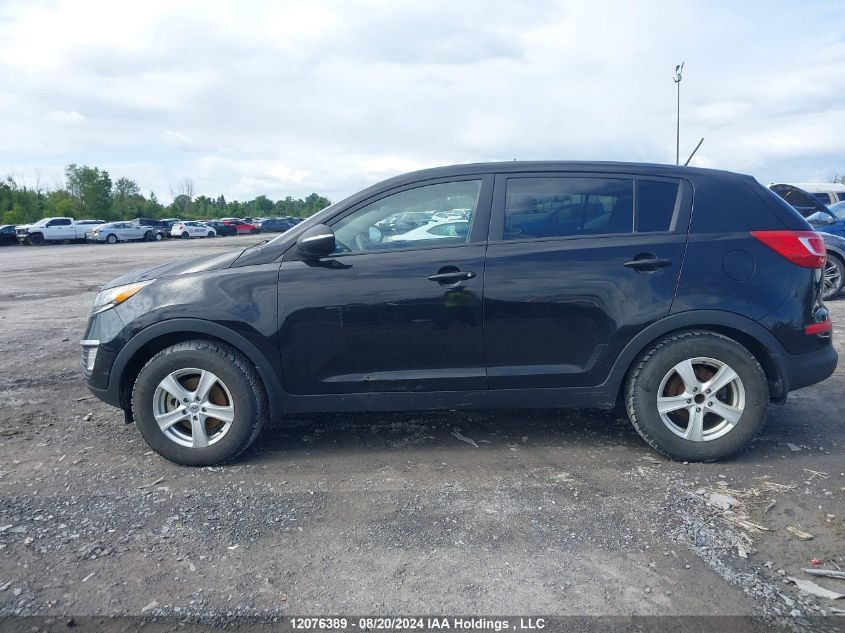 2013 Kia Sportage Lx VIN: KNDPB3A20D7523476 Lot: 12076389