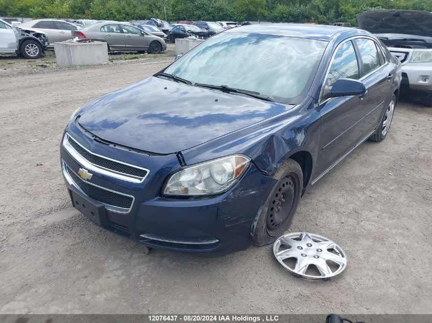 2010 Chevrolet Malibu 2Lt VIN: 1G1ZD5E04A4146566 Lot: 12076437