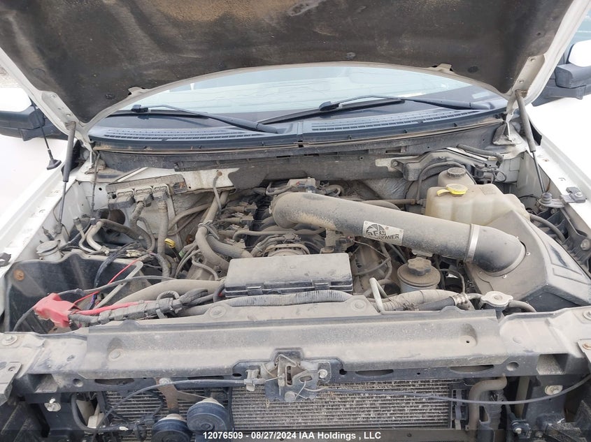 2012 Ford F150 Supercrew VIN: 1FTFW1E69CFB29738 Lot: 12076509