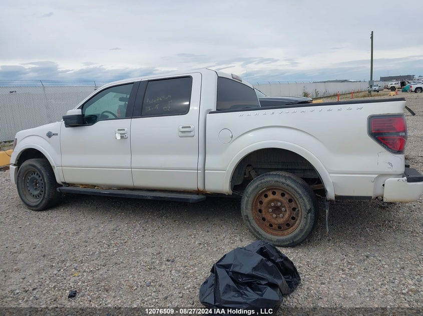 2012 Ford F150 Supercrew VIN: 1FTFW1E69CFB29738 Lot: 12076509