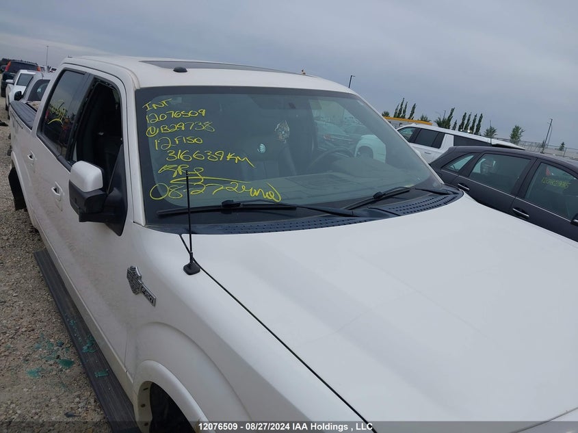 2012 Ford F150 Supercrew VIN: 1FTFW1E69CFB29738 Lot: 12076509