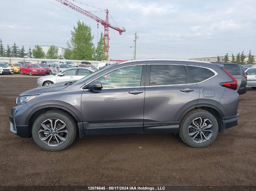 2022 Honda Cr-V Exl VIN: 2HKRW2H81NH209852 Lot: 12076645