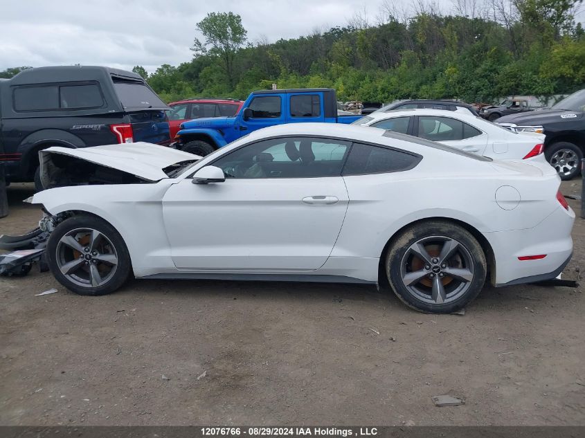 2015 Ford Mustang VIN: 1FA6P8TH7F5432284 Lot: 12076766