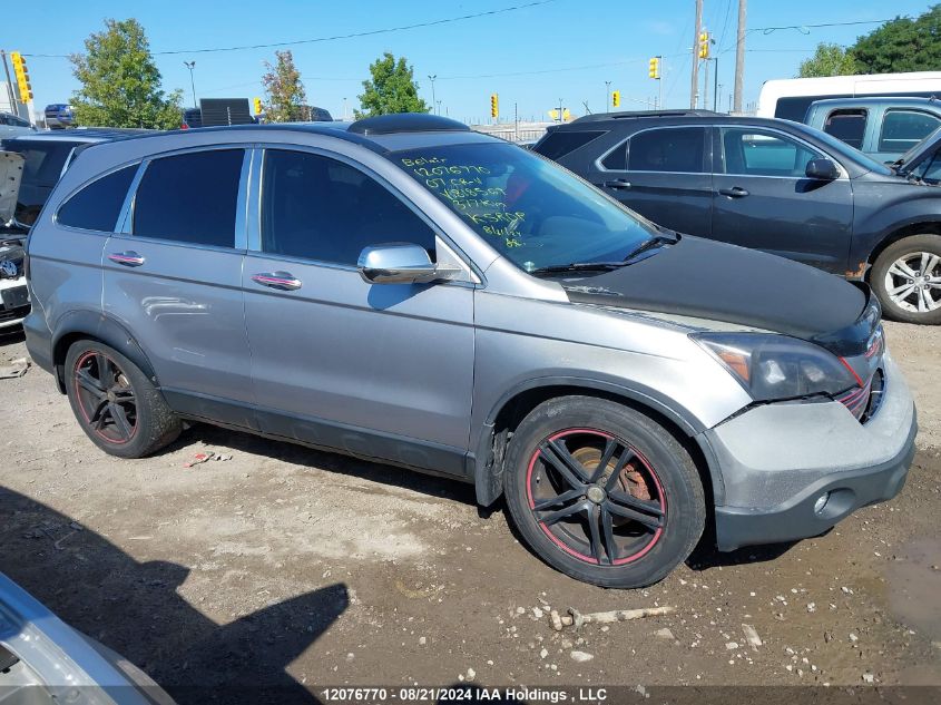 2007 Honda Cr-V VIN: 5J6RE48597L818569 Lot: 12076770