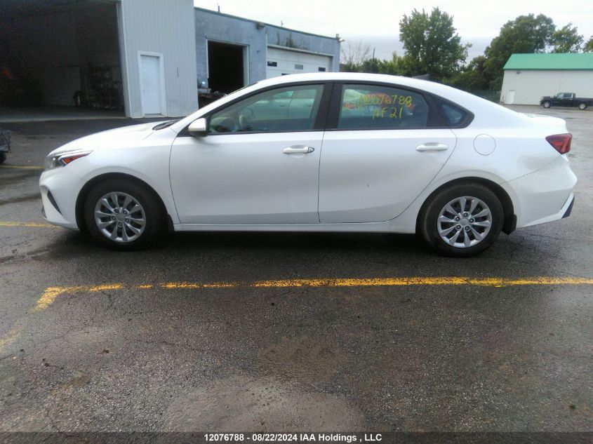 2023 Kia Forte VIN: 3KPF24AD1PE564304 Lot: 12076788