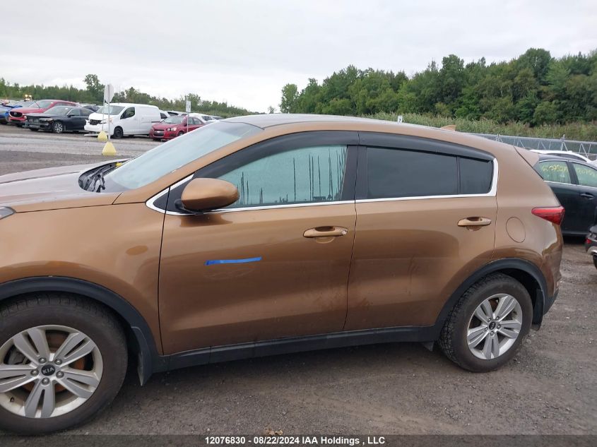 2017 Kia Sportage VIN: KNDPM3AC3H7248291 Lot: 12076830