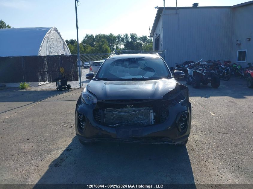 2017 Kia Sportage VIN: KNDPNCAC5H7143569 Lot: 12076844