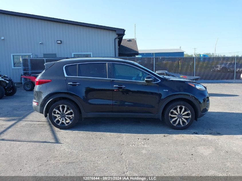 2017 Kia Sportage VIN: KNDPNCAC5H7143569 Lot: 12076844