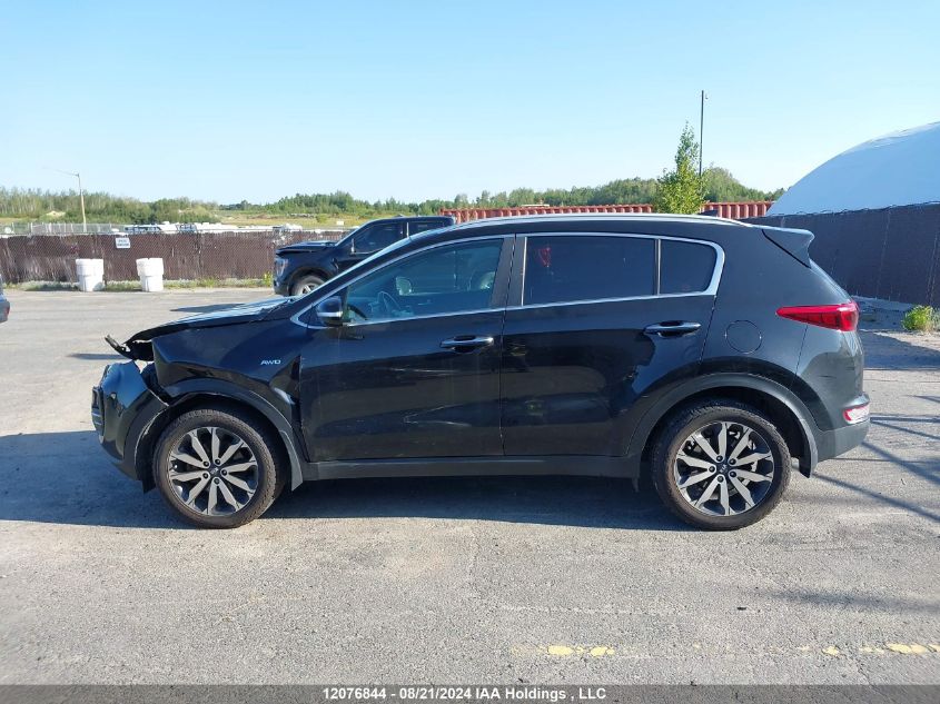 KNDPNCAC5H7143569 2017 Kia Sportage