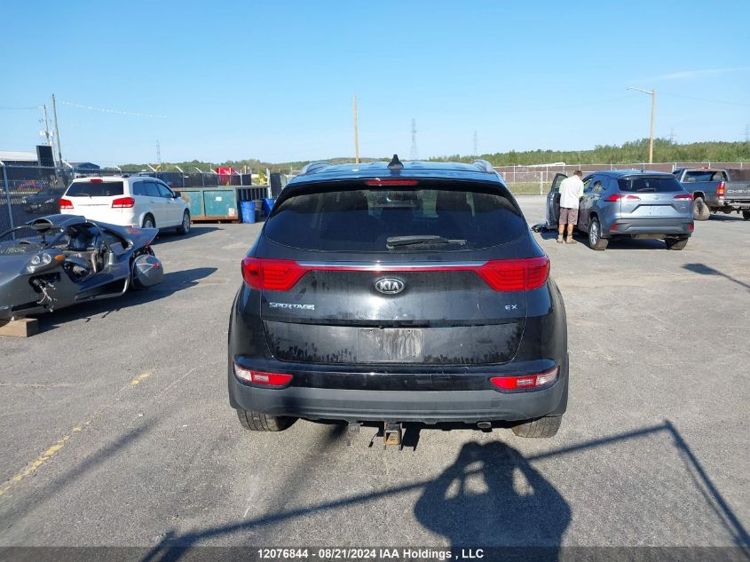 2017 Kia Sportage VIN: KNDPNCAC5H7143569 Lot: 12076844