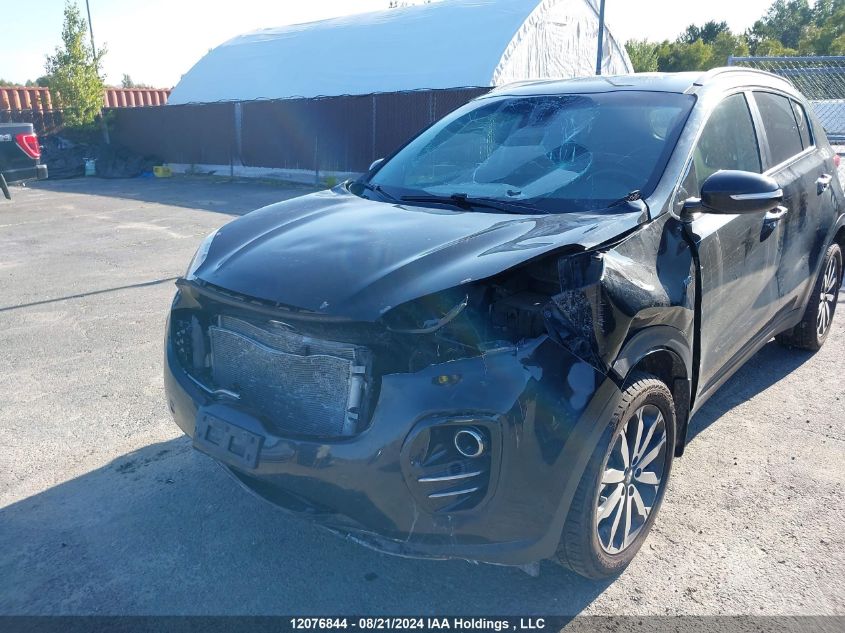 KNDPNCAC5H7143569 2017 Kia Sportage