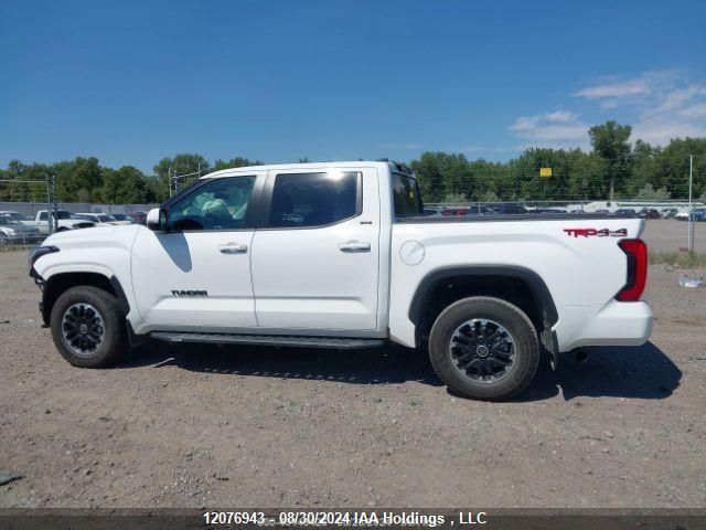 2024 Toyota Tundra Sr VIN: 5TFLA5DB2RX136203 Lot: 12076943