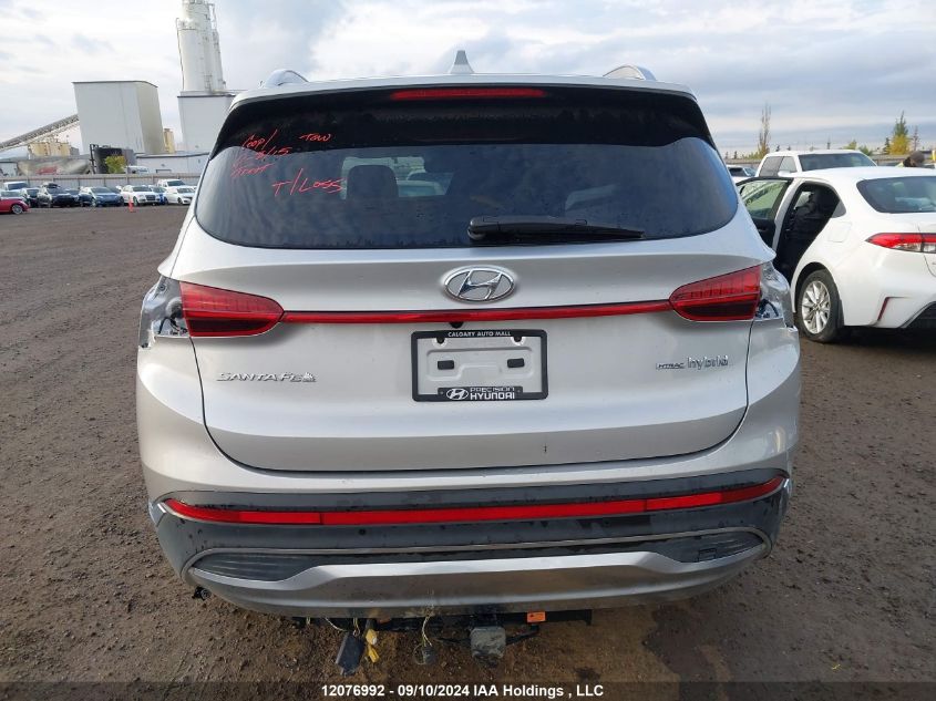 2021 Hyundai Santa Fe Limited VIN: KM8S5DA10MU003211 Lot: 12076992