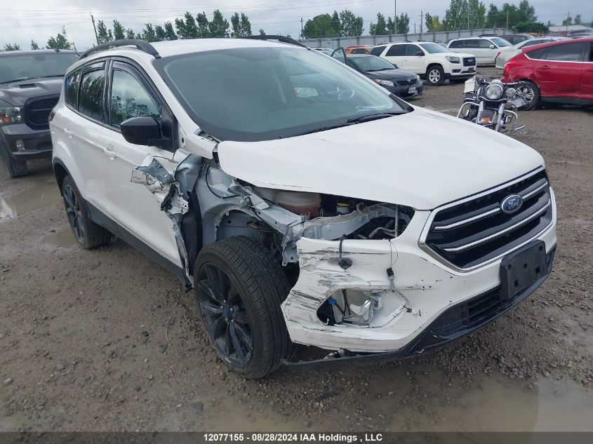 2019 Ford Escape Se VIN: 1FMCU9GD7KUC37803 Lot: 12077155