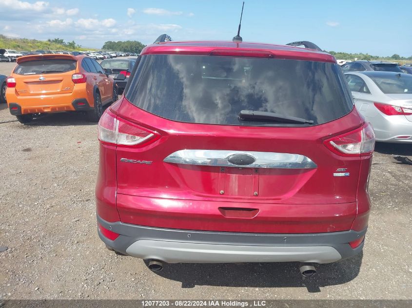 2014 Ford Escape VIN: 1FMCU9G93EUE43801 Lot: 12077203