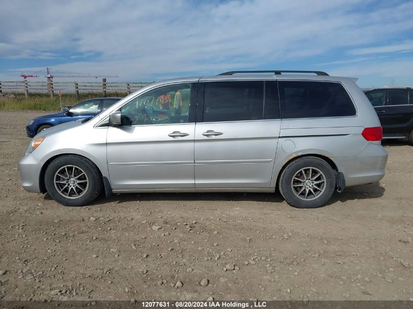 2009 Honda Odyssey Exl VIN: 5FNRL38649B505241 Lot: 12077631