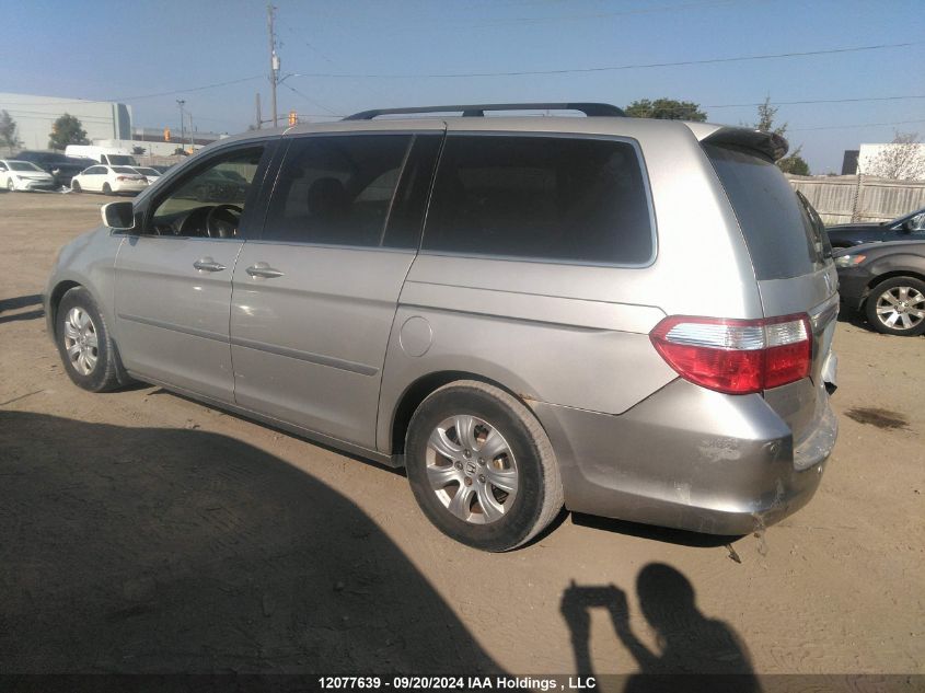 2005 Honda Odyssey VIN: 5FNRL38815B511400 Lot: 12077639