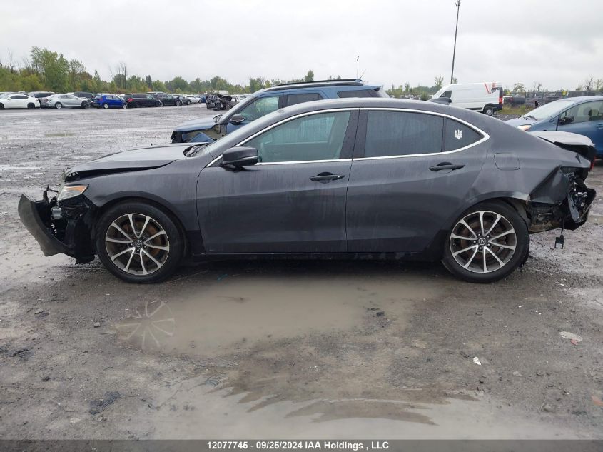 2015 Acura Tlx Advance VIN: 19UUB2F79FA800456 Lot: 12077745