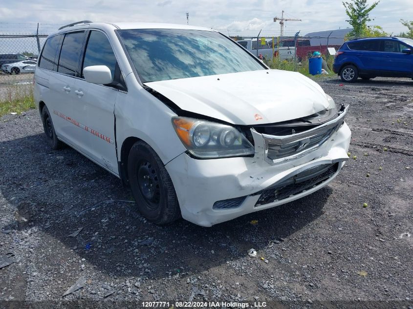 2010 Honda Odyssey VIN: 5FNRL3H51AB503460 Lot: 12077771