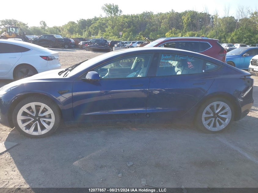 2023 Tesla Model 3 VIN: 5YJ3E1EA5PF438000 Lot: 12077857