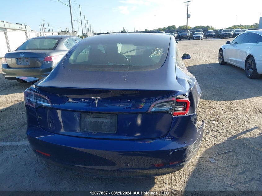 2023 Tesla Model 3 VIN: 5YJ3E1EA5PF438000 Lot: 12077857