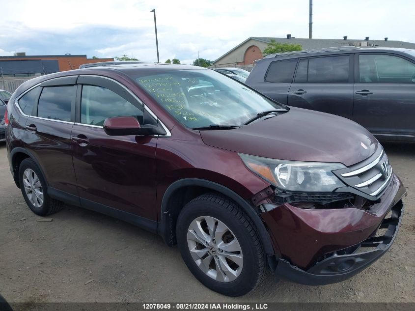 2014 Honda Cr-V VIN: 2HKRM4H59EH103429 Lot: 12078049