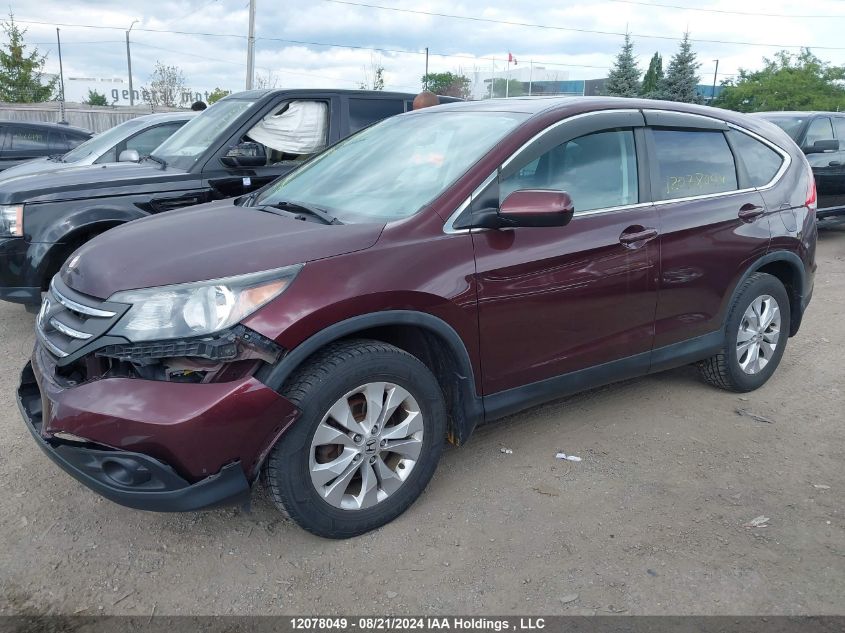 2014 Honda Cr-V VIN: 2HKRM4H59EH103429 Lot: 12078049