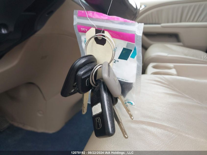 2007 Honda Odyssey VIN: 5FNRL38677B450636 Lot: 12078192