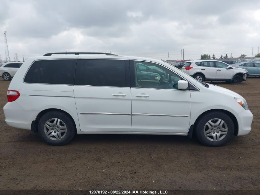 2007 Honda Odyssey VIN: 5FNRL38677B450636 Lot: 12078192